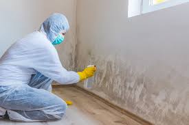 Best Mold Documentation for Insurance Claims  in Mendota Heights, MN