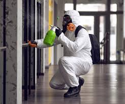 Best Mold Remediation for Vacation Homes  in Mendota Heights, MN